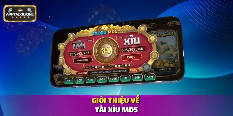 Giới thiệu về Tài Xỉu MD5